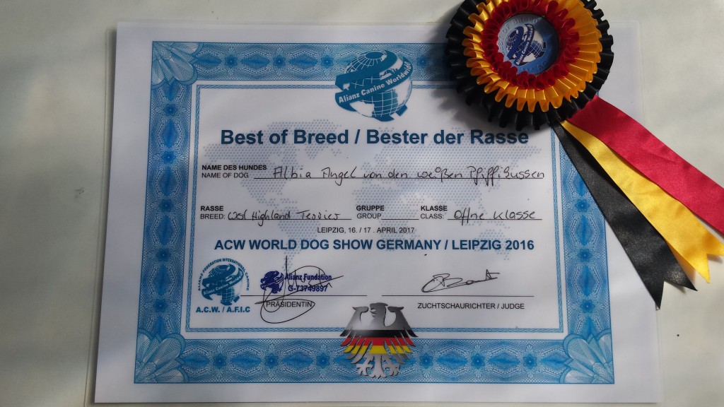 Albia Angel Best of Breed ACW Leipzig 2016